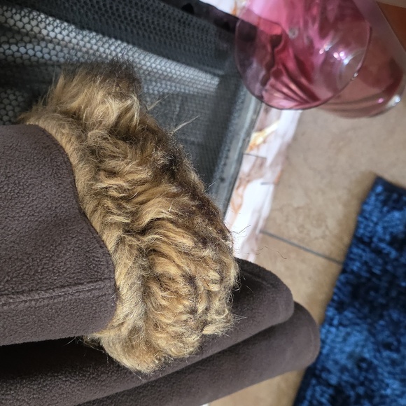 Elegant Brown Faux Fur Trimmed Cape Coat 🤎  PRE LOVED - Picture 4 of 6